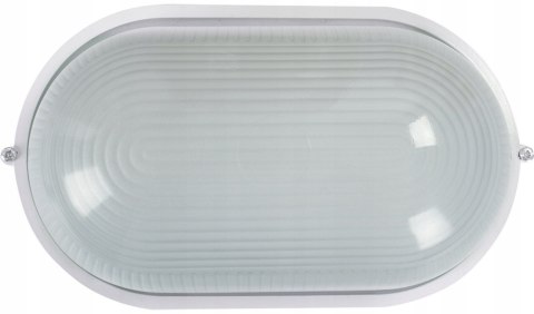 E.NEXT e.light.1401.1.60.27.white - Lampa kinkiet ścienno-sufitowa owalna E27 biała 60W