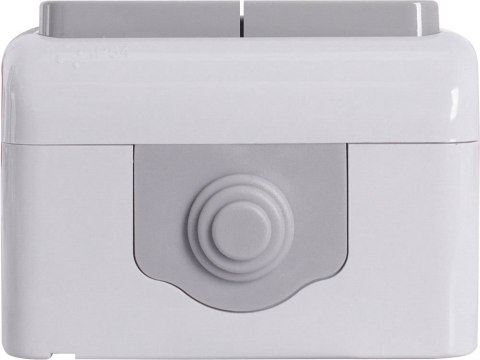 E.NEXT e.aqua.1112.grg - Wyłącznik podwójny natynkowy IP54